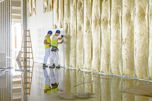 Best Specialty Insulation in Morgantown, MS